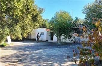 Eladó Görögországi családi ház hirdetés (57842934)