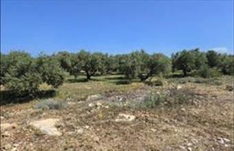 Eladó Görögországi lakóövezeti telek hirdetés (97743662)