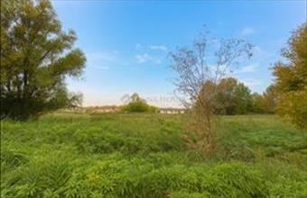 Eladó Szadai lakóövezeti telek hirdetés (79337191)