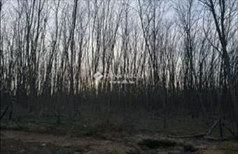 Eladó Gödöllői egyéb mezőgazdasági ingatlan hirdetés (69679377)