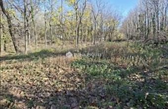 Eladó Budapest XVII. kerületi külterületi telek hirdetés (58827774)