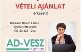 Eladó Nyáregyházai családi ház hirdetés (33432339)