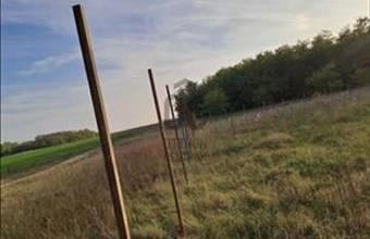 Eladó Budapest XVII. kerületi egyéb mezőgazdasági ingatlan hirdetés (78219732)