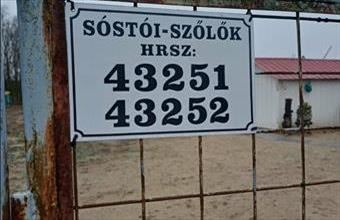 Eladó Kiskunhalasi külterületi telek hirdetés (96474456)