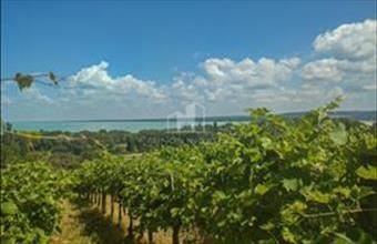 Eladó Tihanyi zártkert hirdetés (77769674)