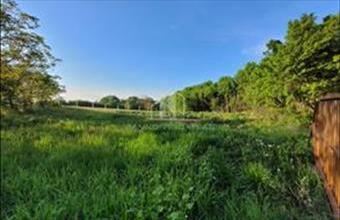 Eladó Lovasi zártkert hirdetés (83734244)