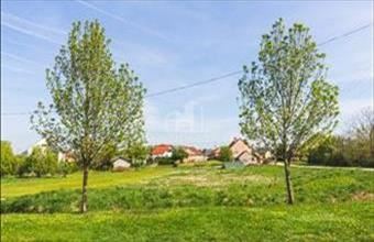 Eladó Nagyesztergári lakóövezeti telek hirdetés (94336833)