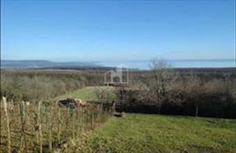 Eladó Zánkai zártkert hirdetés (46957564)