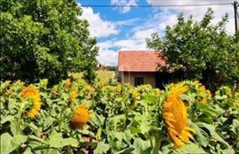 Eladó Kápolnásnyéki hétvégi ház hirdetés (94597235)