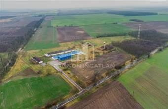 Eladó Sárosdi külterületi telek hirdetés (47834993)