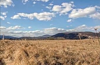 Eladó Erdőbényei termőföld, szántó hirdetés (32433254)