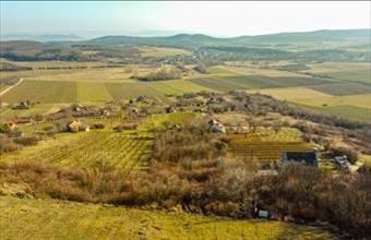 Eladó Pécselyi külterületi telek hirdetés (85837447)