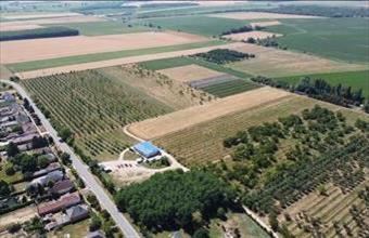 Eladó Csikvándi egyéb mezőgazdasági ingatlan hirdetés (42333282)