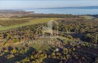 Eladó Zánkai külterületi telek hirdetés (87277376)