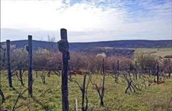 Eladó Balatonalmádi külterületi telek hirdetés (41955535)