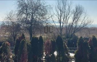 Eladó Badacsonytomaji családi ház hirdetés (38435776)