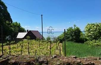 Eladó Badacsonytomaji hétvégi ház hirdetés (63324284)