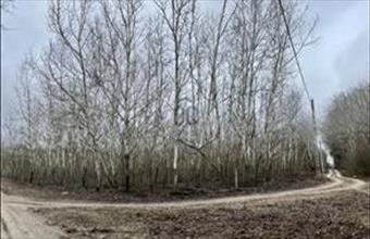 Eladó Orgoványi lakóövezeti telek hirdetés (17644838)