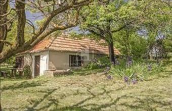 Eladó Lovasi zártkert hirdetés (32774329)