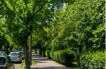 Eladó Budapest XIII. kerületi csúsztatott zsalus lakás hirdetés (47747789)