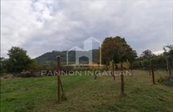 Eladó Somlószőlősi zártkert hirdetés (42217795)