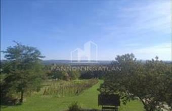 Eladó Magyarpolányi zártkert hirdetés (33382882)