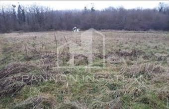 Eladó Ajkai külterületi telek hirdetés (43779399)