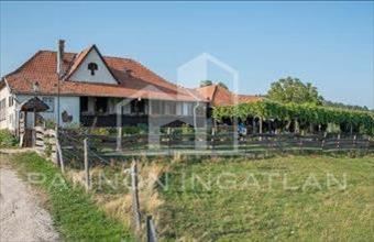 Eladó Lovasi étterem, vendéglő hirdetés (43397353)