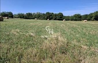 Eladó Tési lakóövezeti telek hirdetés (14548192)