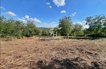 Eladó Veszprémi zártkert hirdetés (75893153)