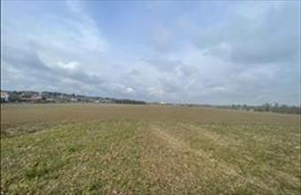 Eladó Zalakarosi külterületi telek hirdetés (43543247)