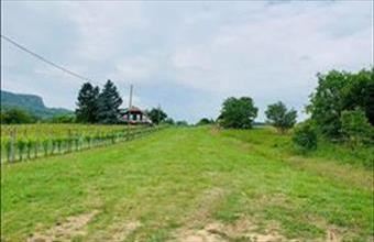 Eladó Badacsonytomaji zártkert hirdetés (34677352)