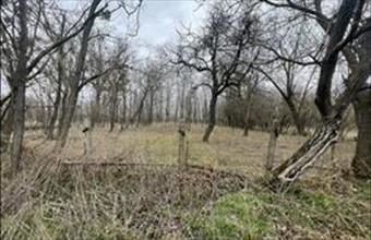 Eladó Tüskevári lakóövezeti telek hirdetés (13674437)