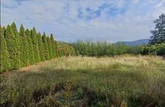 Eladó Solymári lakóövezeti telek hirdetés (32797348)