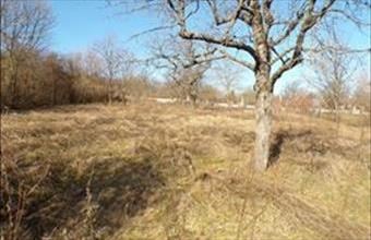 Eladó Dunabogdányi lakóövezeti telek hirdetés (87374221)