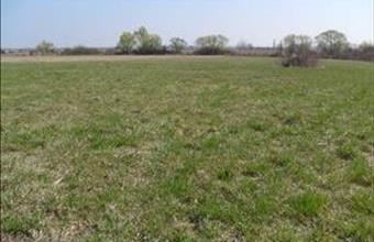 Eladó Pomázi termőföld, szántó hirdetés (74794387)