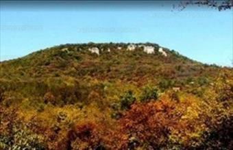 Eladó Pomázi erdő hirdetés (47492336)