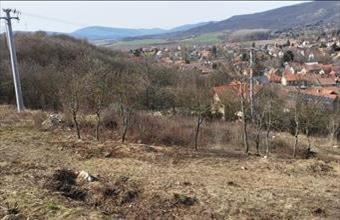 Eladó Pomázi lakóövezeti telek hirdetés (31999944)