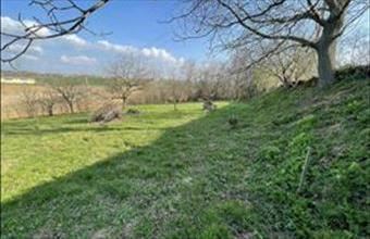 Eladó Pécsi lakóövezeti telek hirdetés (73379969)