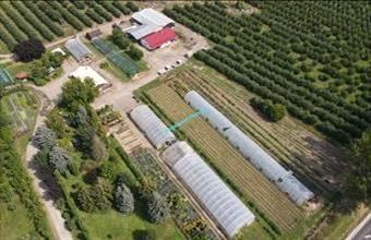 Eladó Putnoki külterületi telek hirdetés (38412854)