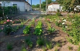 Eladó Üllői lakóövezeti telek hirdetés (88947156)