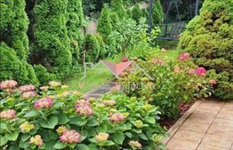 Eladó Verőcei családi ház hirdetés (38518396)