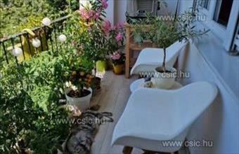 Eladó Budapest XII. kerületi tégla lakás hirdetés (36447993)