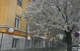 Eladó Szolnoki egyéb üzlethelyiség hirdetés (23874497)