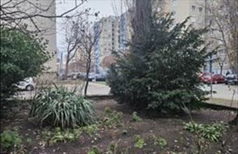 Eladó Győri panel lakás hirdetés (35749196)