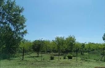 Eladó Monorierdői lakóövezeti telek hirdetés (95582386)