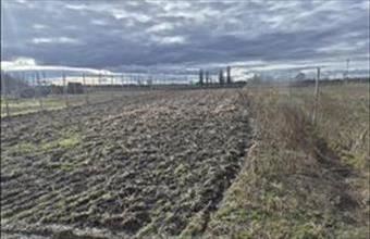 Eladó Szigetcsépi egyéb telek hirdetés (98372327)