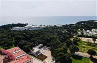 Eladó Horvátországi hétvégi ház hirdetés (45335493)