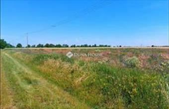 Eladó Besnyői lakóövezeti telek hirdetés (76543473)