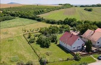 Eladó Palotási egyéb telek hirdetés (53895232)